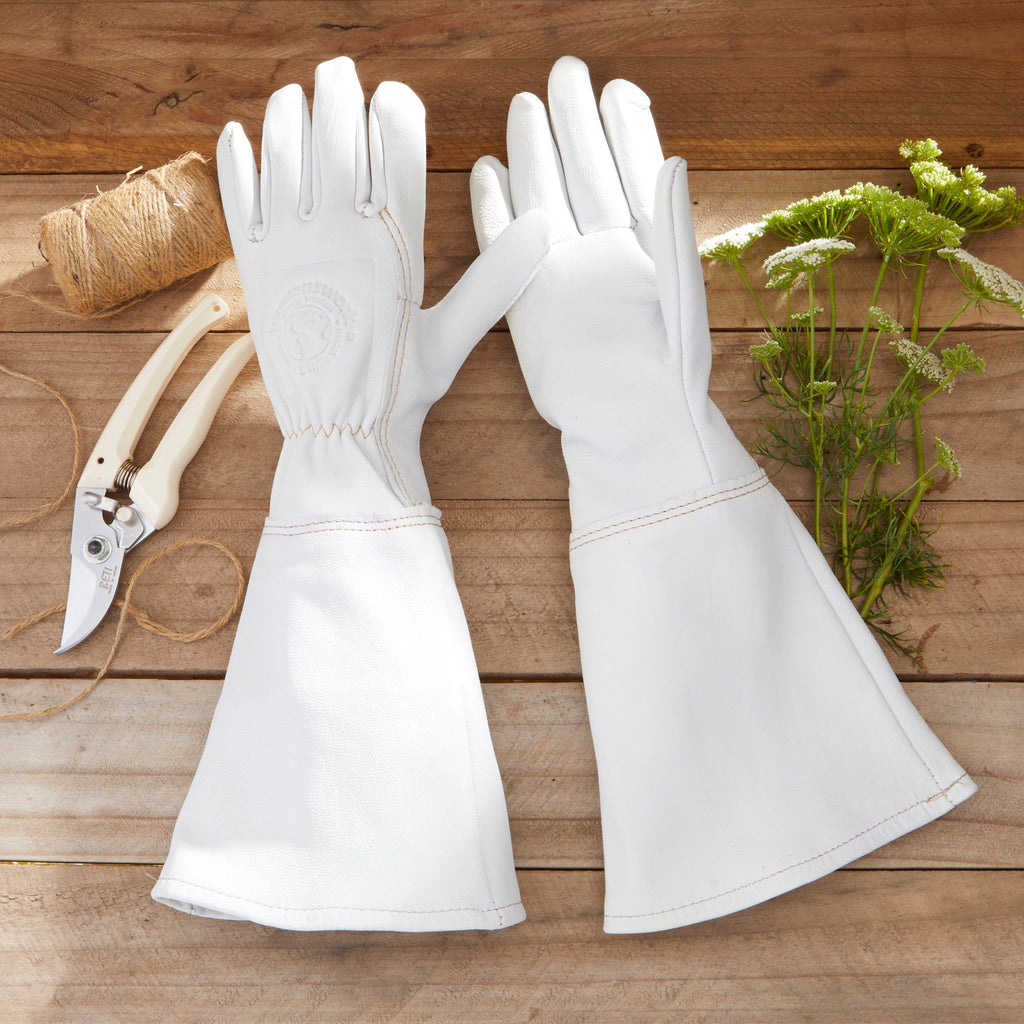 The Goatskin Gauntlet Glove